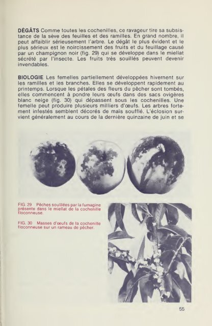 Maladies, insectes et acariens des fruits noyau - Publications du ...