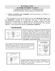 Séquence Astronomie Cycle 3 Classeelementaire