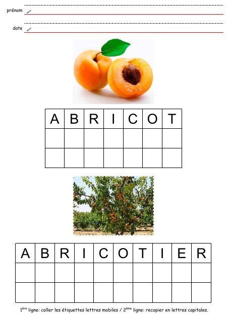 fiches fruits/arbres - materalbum.free.fr