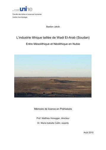 L'industrie lithique taillée de Wadi El-Arab (Soudan) - Université de ...