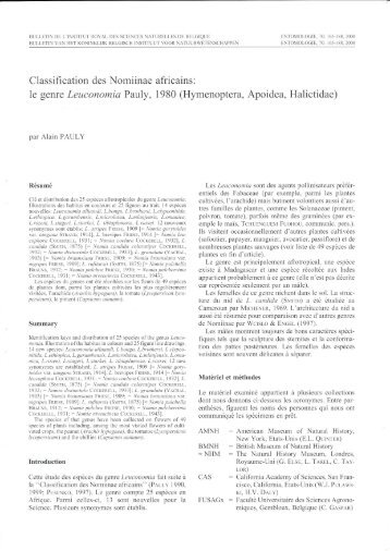 Classification des Nomiinae le genre Leuconomia Pauly,