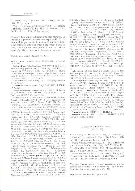 Classification des Nomiinae le genre Leuconomia Pauly,