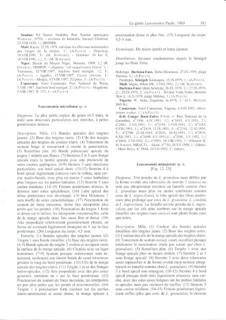 Classification des Nomiinae le genre Leuconomia Pauly,