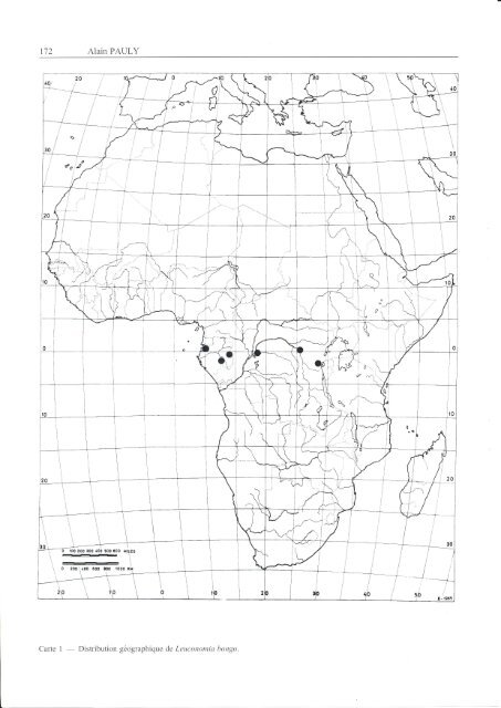 Classification des Nomiinae le genre Leuconomia Pauly,