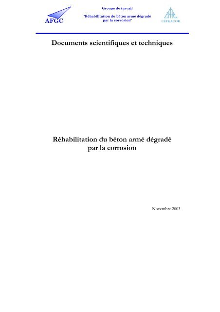 Réhabilitation du béton armé dégradé par la corrosion