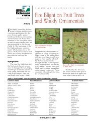Fire Blight on Fruit Trees and Woody Ornamentals - Alabama ...
