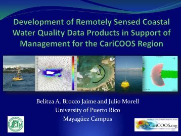 Belitza A. Brocco Jaime and Julio Morell University of ... - CoHemis