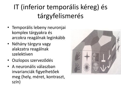 Latas - izleles - szaglas.pdf