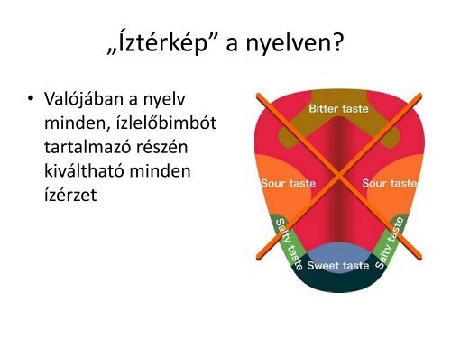 Latas - izleles - szaglas.pdf