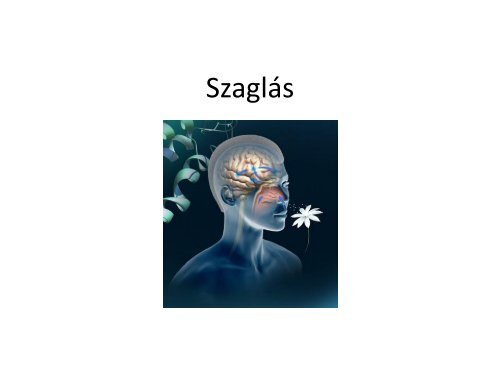 Latas - izleles - szaglas.pdf