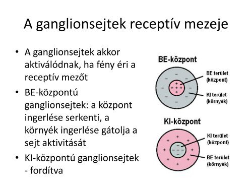 Latas - izleles - szaglas.pdf