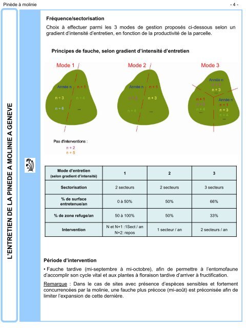 Pinède à molinie - Etat de Genève