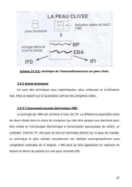 Graphique 1 - Faculté de Médecine et de Pharmacie de Fès