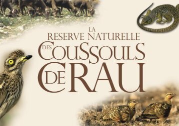 La Réserve Naturelle Nationale des Coussouls de Crau