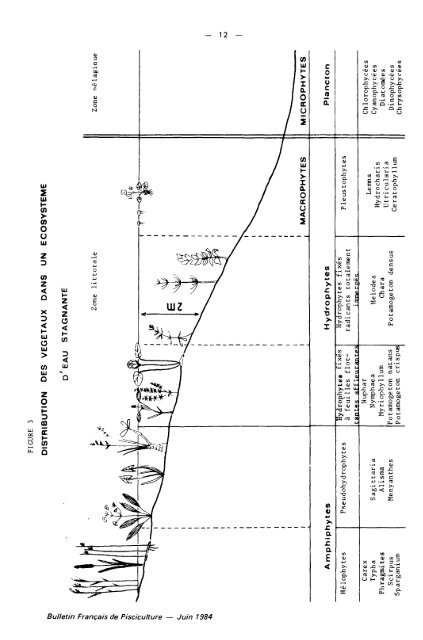 Les végétaux aquatiques. Données biologiques et écologiques ...