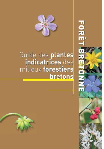 Guide des plantes indicatrices des milieux forestiers bretons