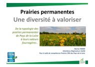 Prairies permanentes - AFPF