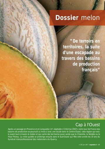 Dossier melon - les-cahiers-melon-de-vegetable