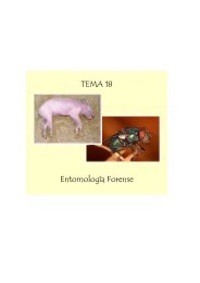 TEMA 18 Entomología Forense TEMA 18 Entomología ... - sisman