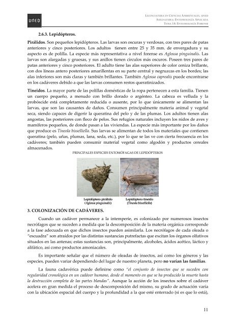 TEMA 18 Entomología Forense TEMA 18 Entomología ... - sisman