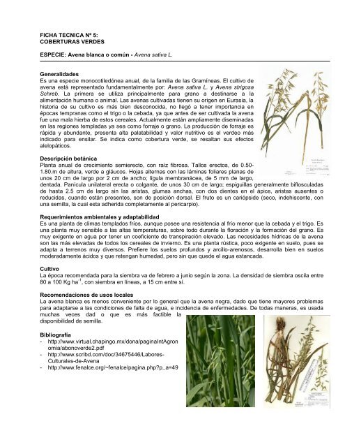 Propuestas de Manejo para la Producción Agroecológica