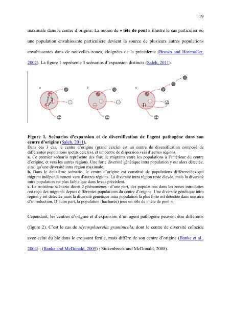 Thèse Mfegue - Montpellier SupAgro