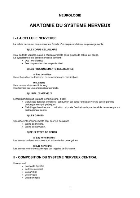 ANATOMIE DU SYSTEME NERVEUX