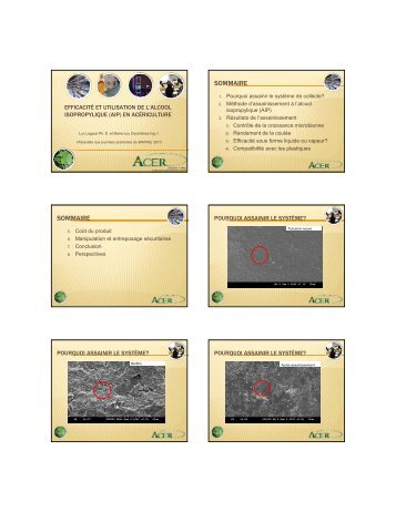 Efficacité et utilisation de l'alcool isopropylique (AIP) en ... - MAPAQ