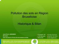 Jean-Pierre Janssens (.pdf) - Ibge