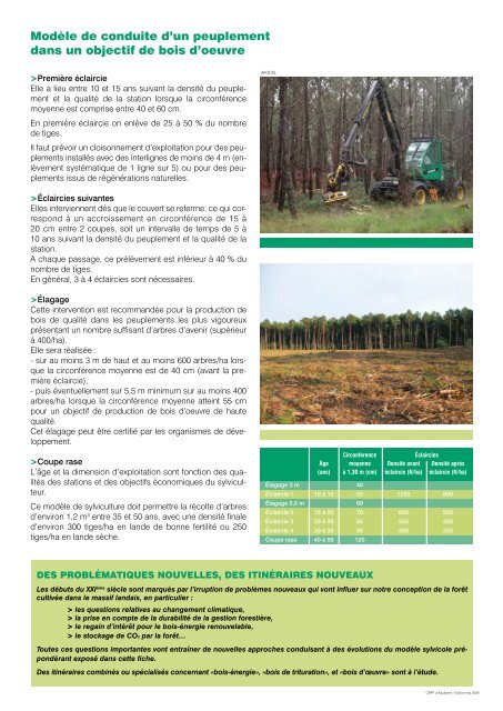 Le pin maritime : pilier de l'économie forestière d'Aquitaine