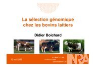 La sélection génomique chez les bovins laitiers