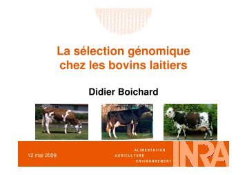 La sélection génomique chez les bovins laitiers