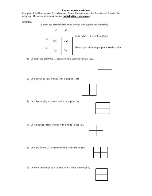 Punnett square worksheet