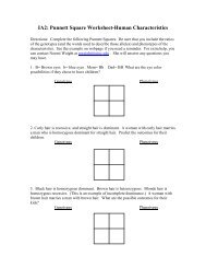 IA2: Punnett Square Worksheet-Human Characteristics