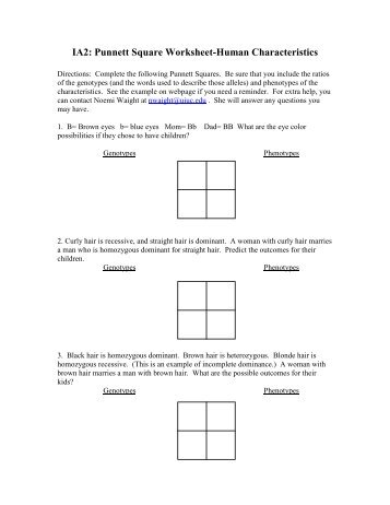 IA2: Punnett Square Worksheet-Human Characteristics