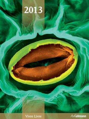 Téléchargez le catalogue - h.f.ullmann