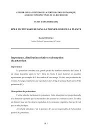 Importance, distribution relative et absorption du potassium - The ...