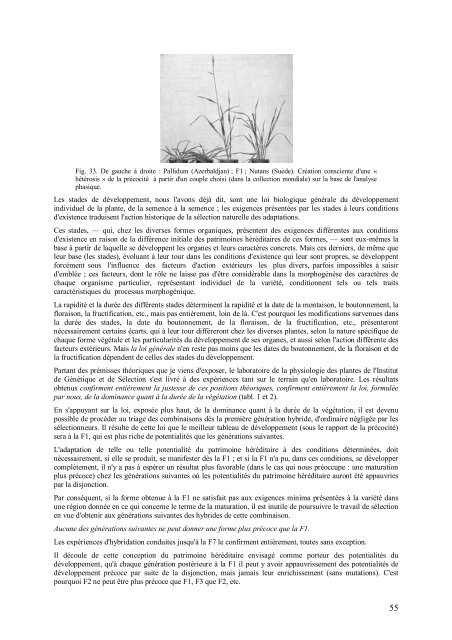 Agrobiologie de T Lyssenko - communisme-bolchevisme