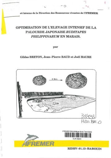 Optimisation de l'élevage intensif de la palourde japonaise ...