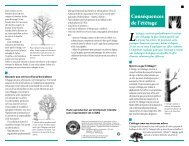 Conséquences de l'étêtage - Société Internationale d'Arboriculture ...