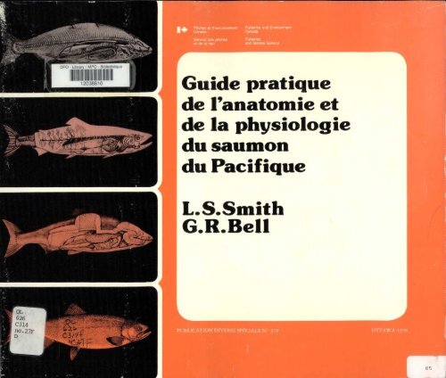 Guide pratique de l'anatomie et de la physiologie du saumon du ...