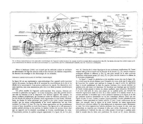 Guide pratique de l'anatomie et de la physiologie du saumon du ...