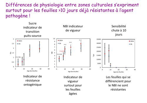 Architecture et croissance de la plante :