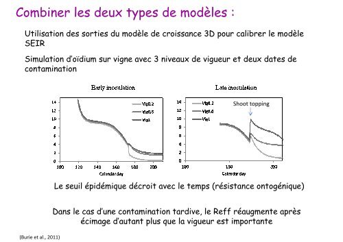 Architecture et croissance de la plante :