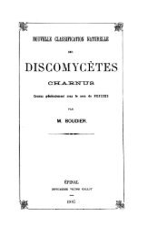 discomycètes charnus - Ascomycete.org