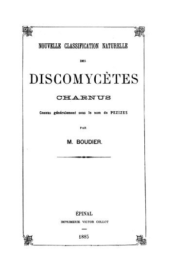 discomycètes charnus - Ascomycete.org