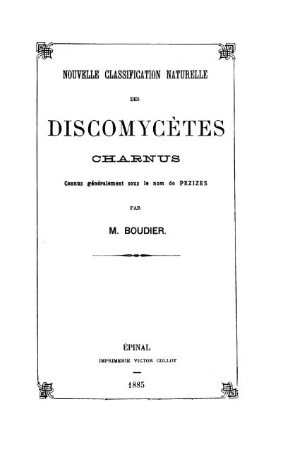 discomycètes charnus - Ascomycete.org