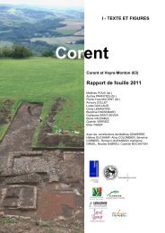Rapport 2011 - LUERN