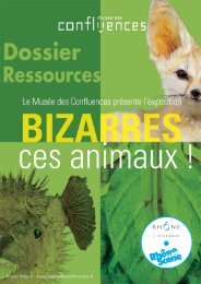 Dossier ressources - musée des Confluences