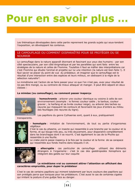 Dossier ressources - musée des Confluences